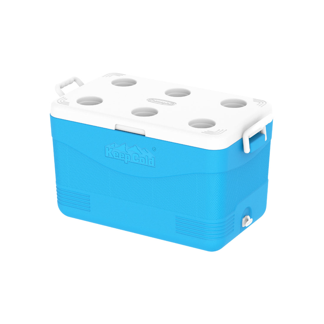 60L KeepCold Picnic Icebox