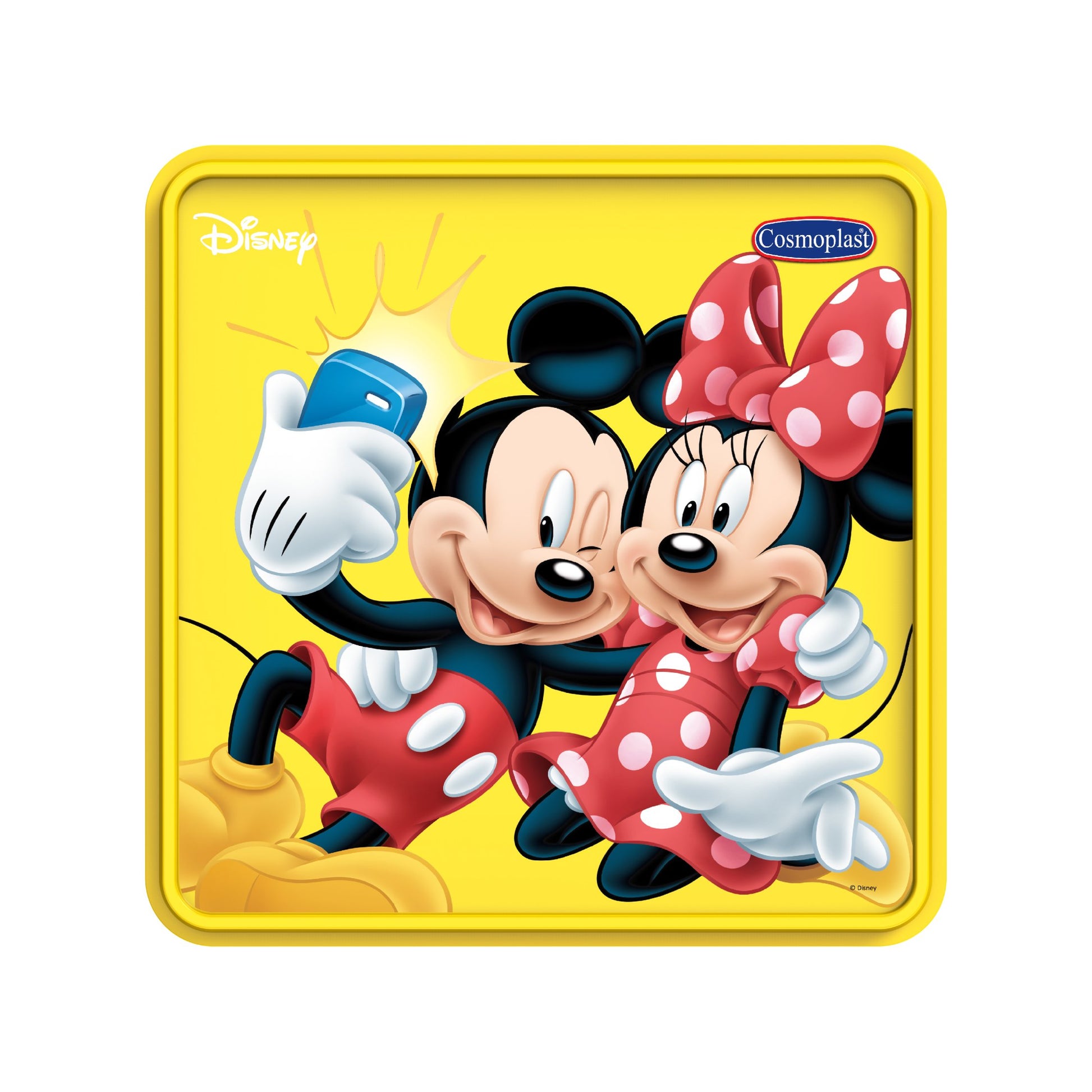 Cosmoplast Disney Mickey & Friends Storage Box 10 Liters